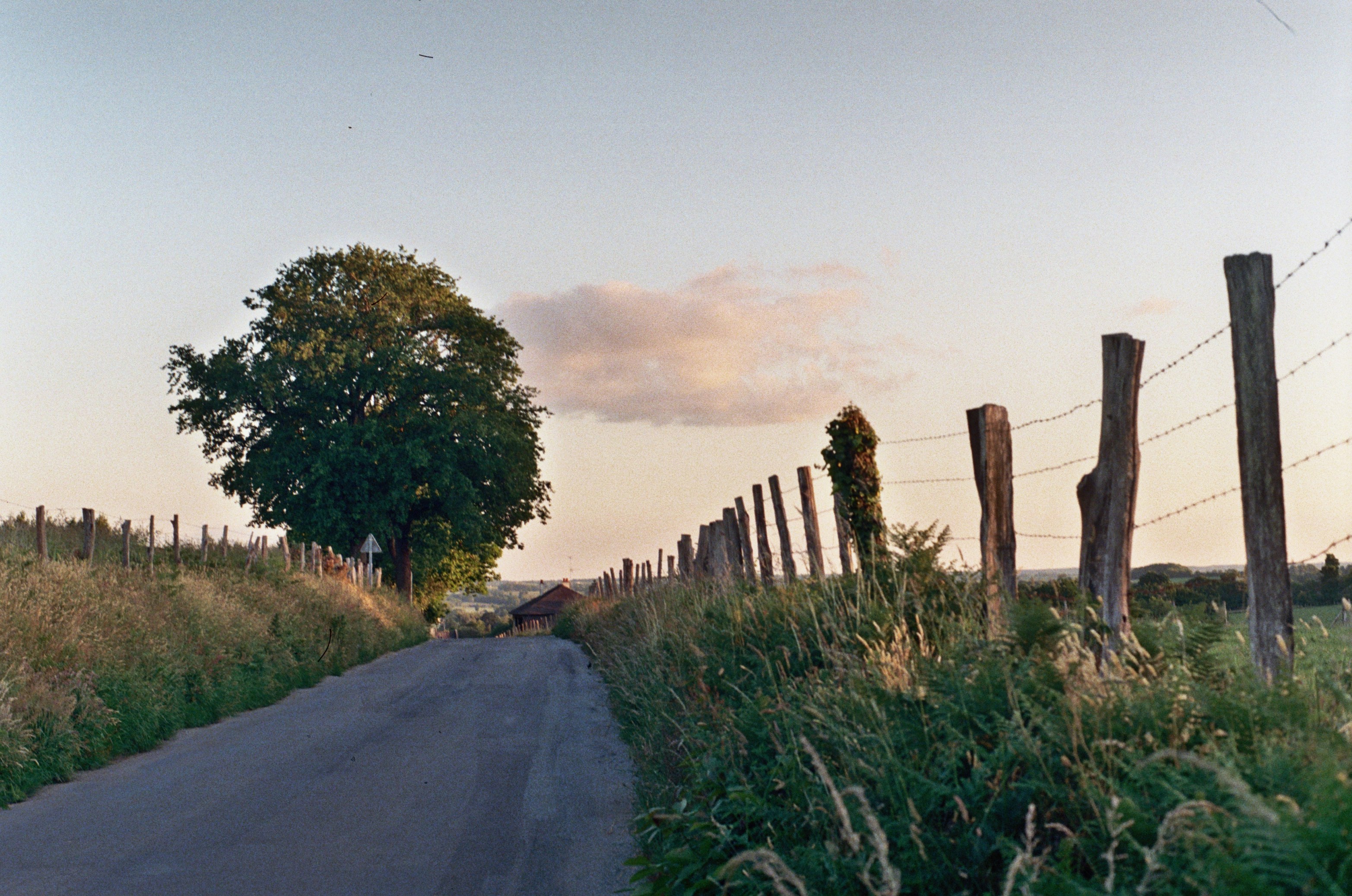 Fietsen door het Normandische bocagelandschap