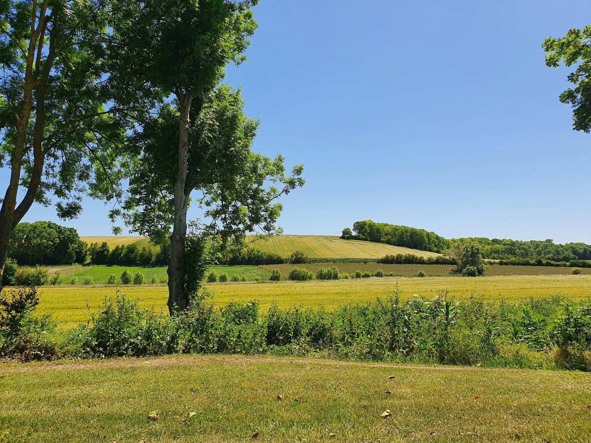 Wandelen vanaf het huisje